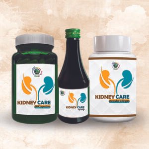 Van Aushdhi Kidney Care Kit