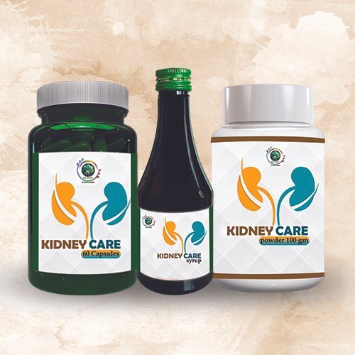 Van Aushdhi Kidney Care Kit