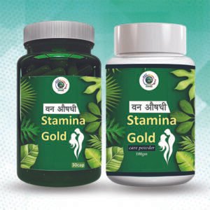 Van Aushdhi Stamina Gold Kit