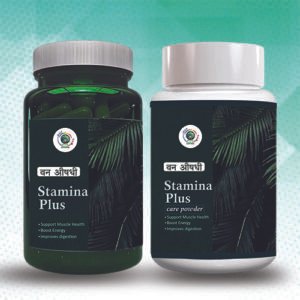 Van Aushdhi Stamina Plus Kit